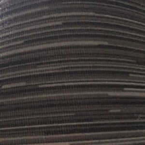 Meet your Posher, Reagan